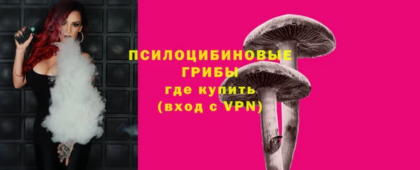 МДПВ Абинск