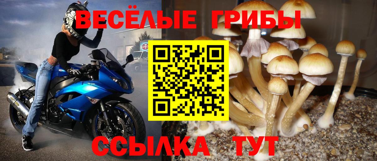 Псилоцибиновые грибы MAGIC MUSHROOMS Зерноград