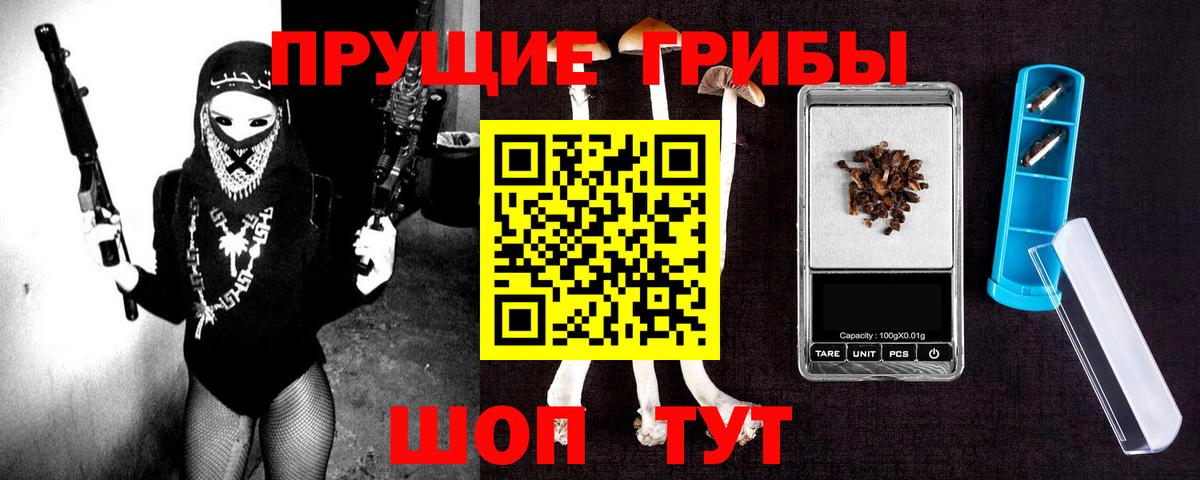 Зерноград  Псилоцибиновые грибы прущие грибы  Вход с VPN 