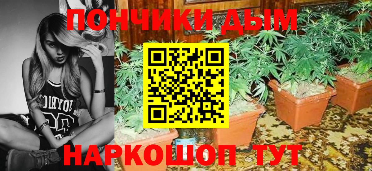 Конопля AK-47 Зерноград